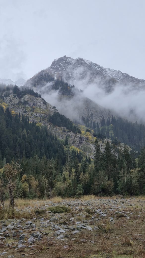 WhatsApp Image 2025-11-12 at 12.00.52 AM (1)