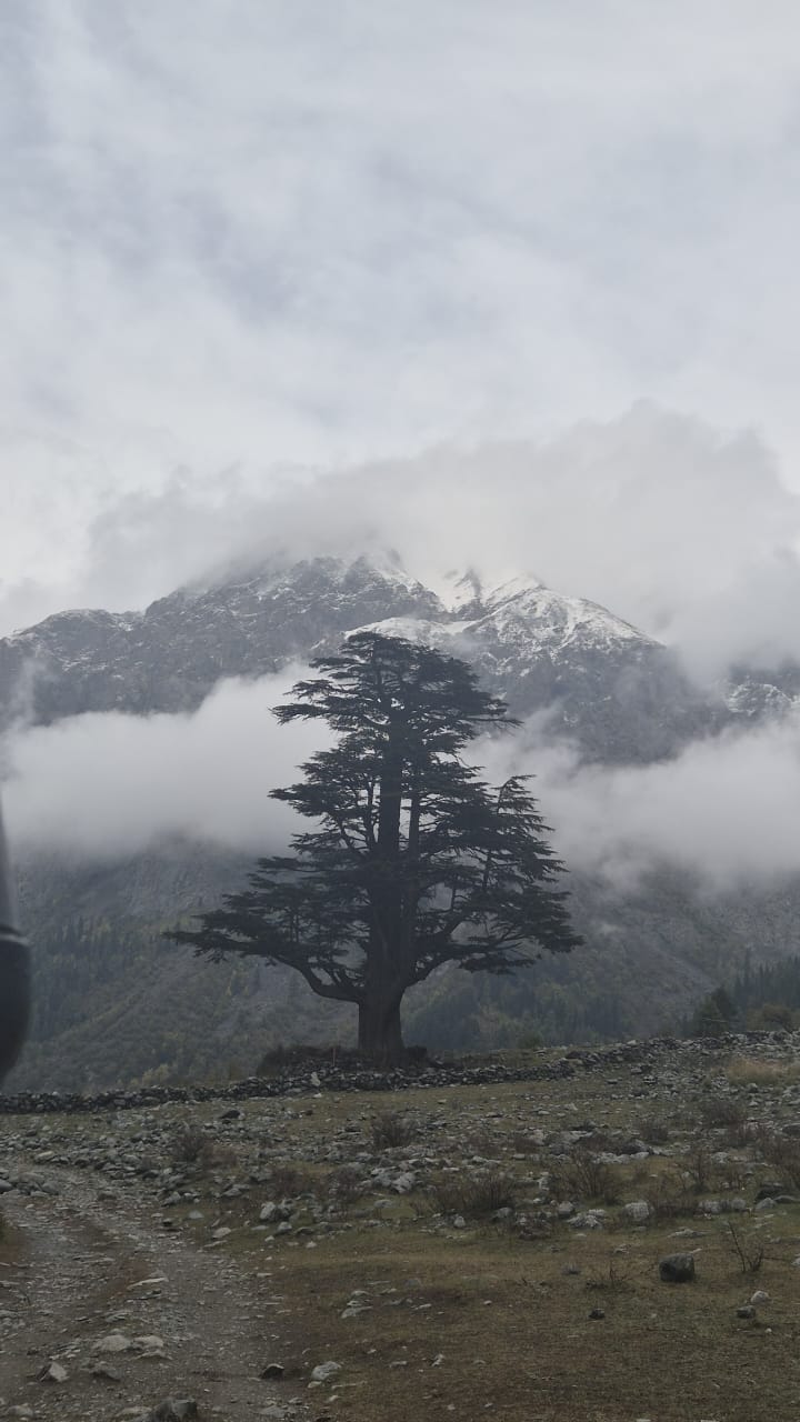 WhatsApp Image 2025-11-12 at 12.00.52 AM (2)