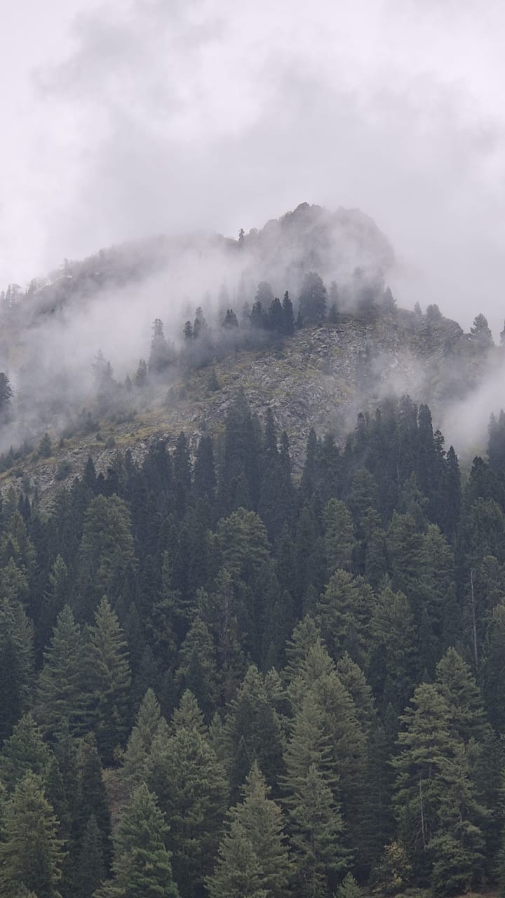 WhatsApp Image 2025-11-12 at 12.00.53 AM